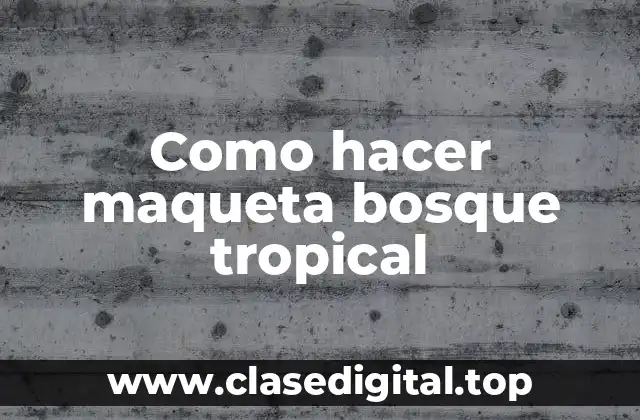 Como hacer maqueta bosque tropical