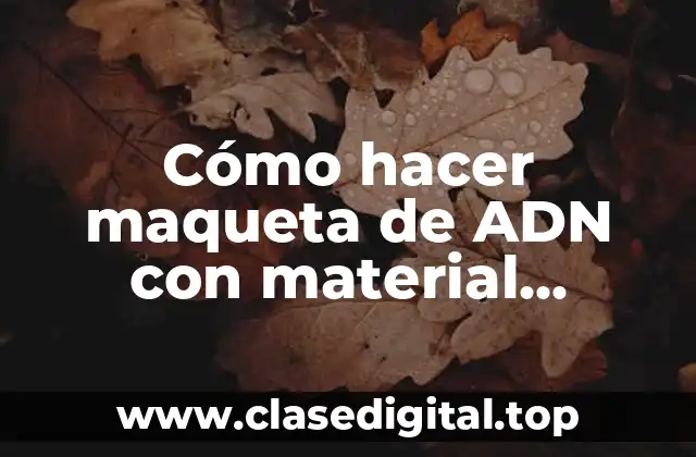 Cómo hacer maqueta de ADN con material reciclable