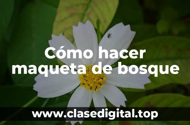 Cómo hacer maqueta de bosque