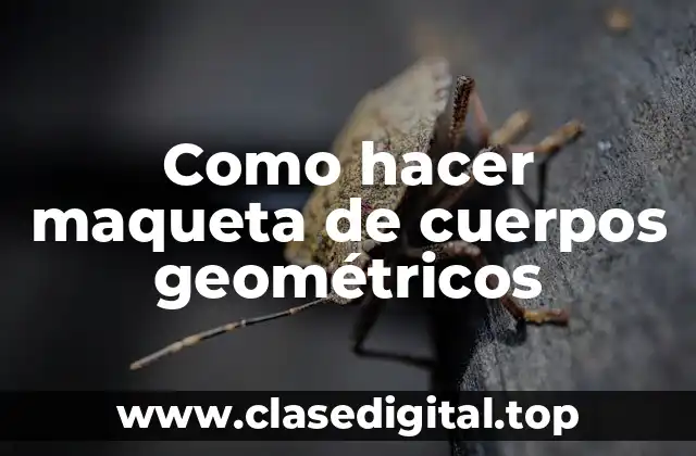 Como hacer maqueta de cuerpos geométricos