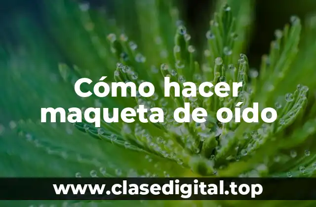 Cómo hacer maqueta de oído