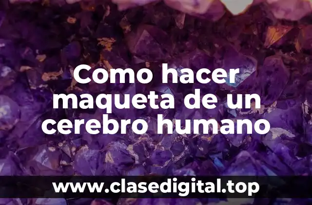 Como hacer maqueta de un cerebro humano