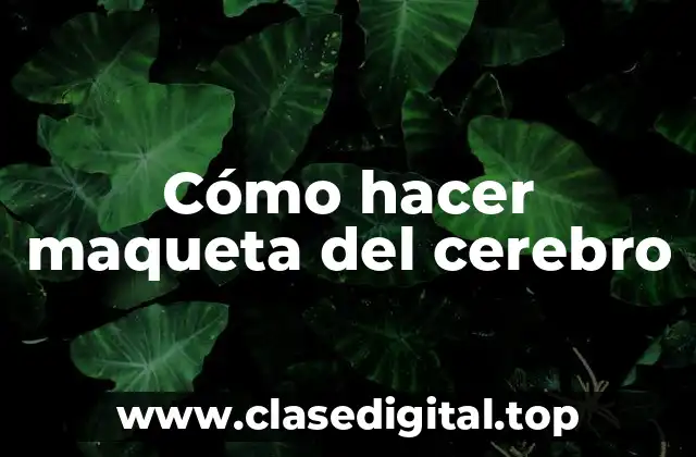 ¿Qué es una maqueta del cerebro y para qué sirve?