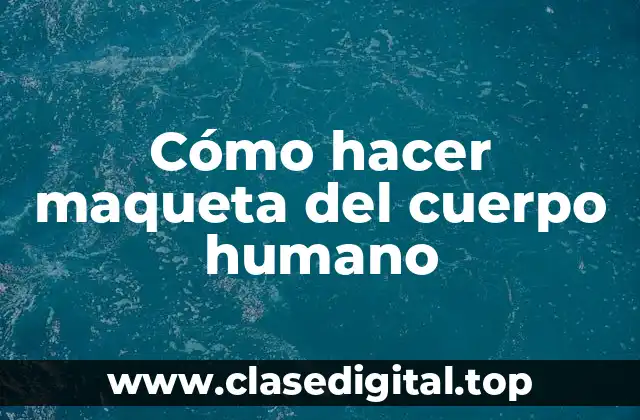 Cómo hacer maqueta del cuerpo humano