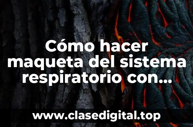 Cómo hacer maqueta del sistema respiratorio con plastilina