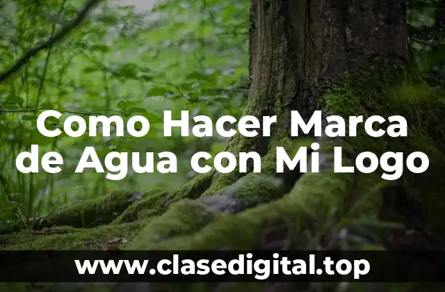 ¿Qué es una Marca de Agua y para Qué Sirve?