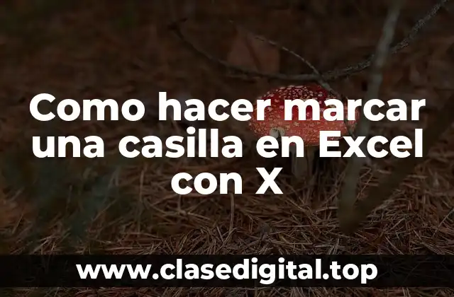 Como hacer marcar una casilla en Excel con X