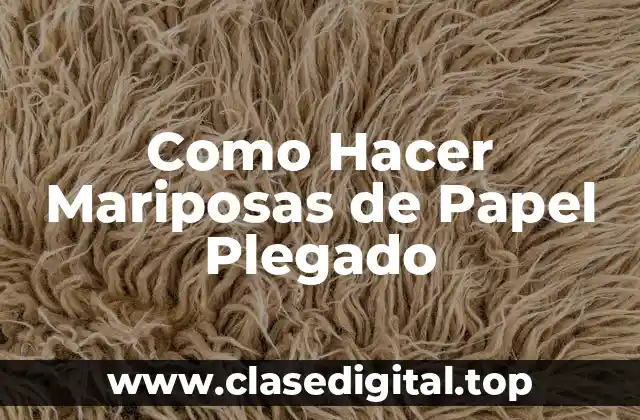 ¿Qué es una Mariposa de Papel Plegado?