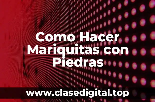 ¿Qué son las Mariquitas con Piedras?