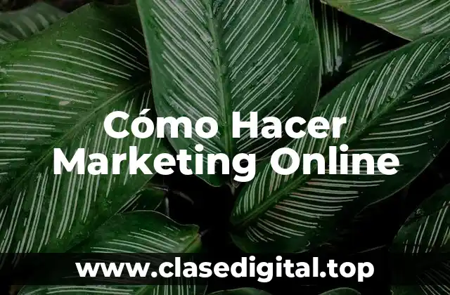 Cómo Hacer Marketing Online