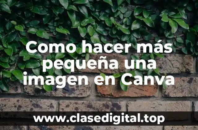 Como hacer más pequeña una imagen en Canva