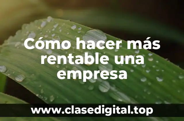 Cómo hacer más rentable una empresa