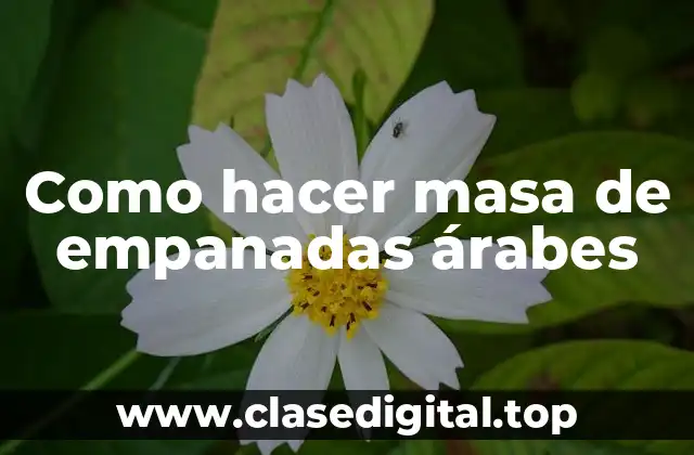 Como hacer masa de empanadas árabes