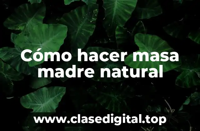 ¿Qué es la masa madre natural?