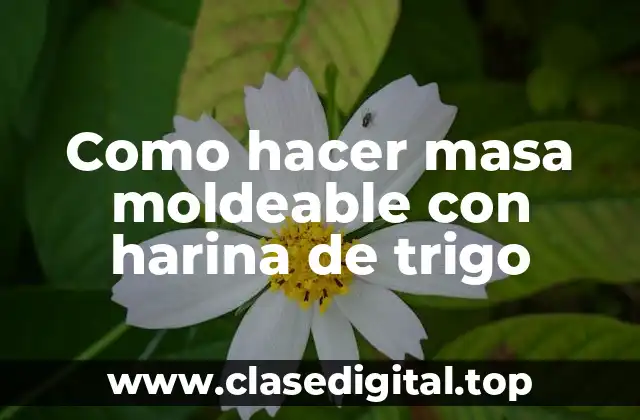 Como hacer masa moldeable con harina de trigo
