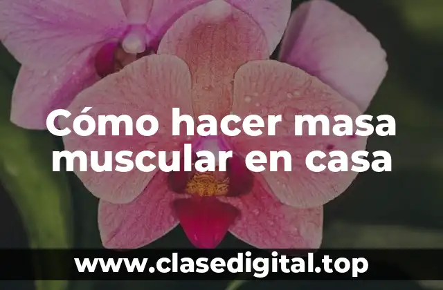 Cómo hacer masa muscular en casa