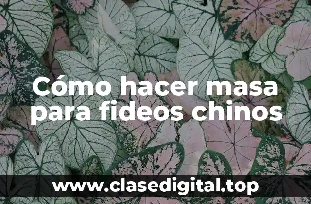 Cómo hacer masa para fideos chinos