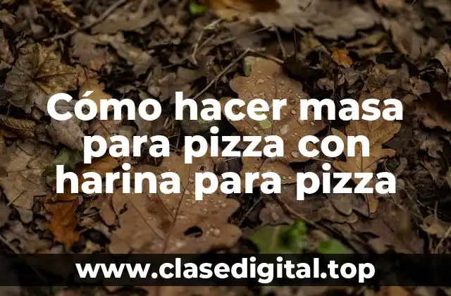 Cómo hacer masa para pizza con harina para pizza
