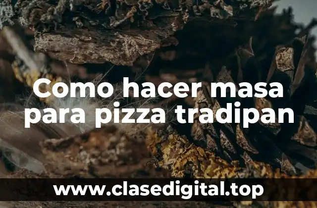Como hacer masa para pizza tradipan