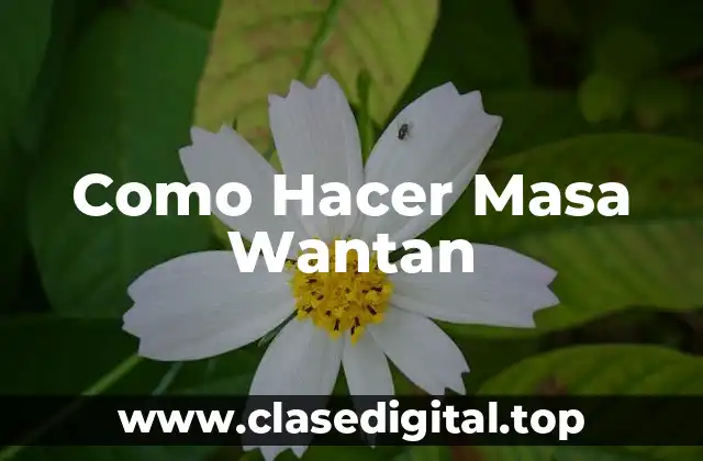 Como Hacer Masa Wantan