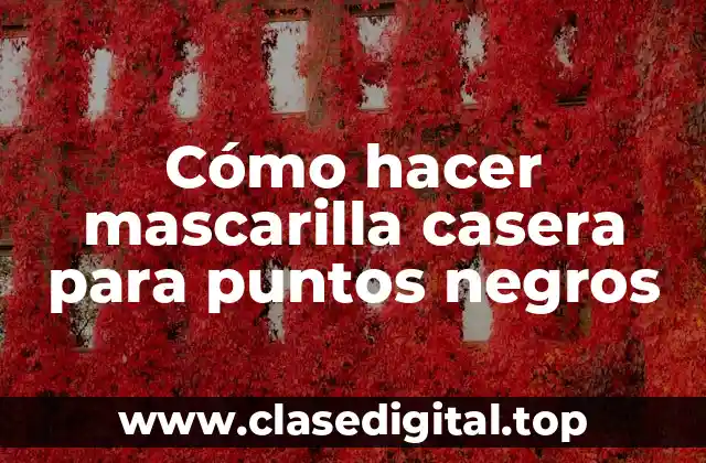 Cómo hacer mascarilla casera para puntos negros