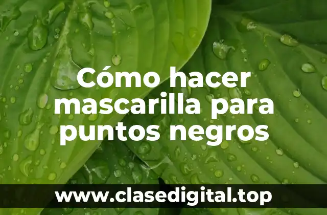Cómo hacer mascarilla para puntos negros