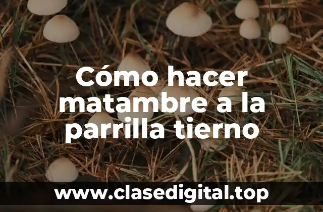 Cómo hacer matambre a la parrilla tierno