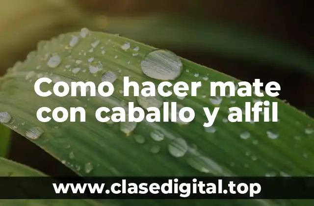 Como hacer mate con caballo y alfil