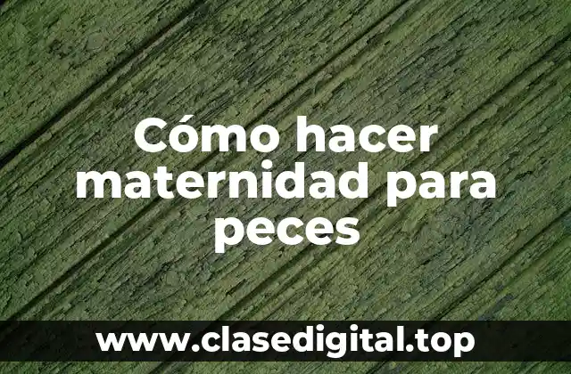 Cómo hacer maternidad para peces