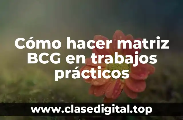 Cómo hacer matriz BCG en trabajos prácticos