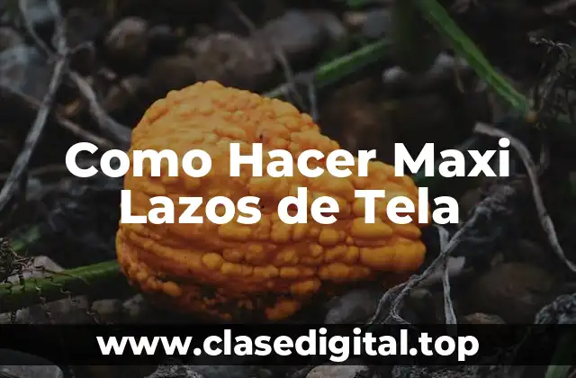 Como Hacer Maxi Lazos de Tela