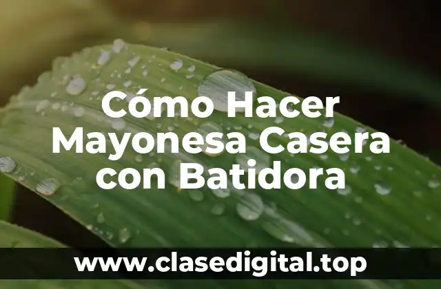 Ingredientes Necesarios para Hacer Mayonesa Casera con Batidora