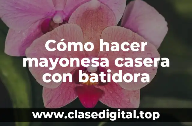 Cómo hacer mayonesa casera con batidora