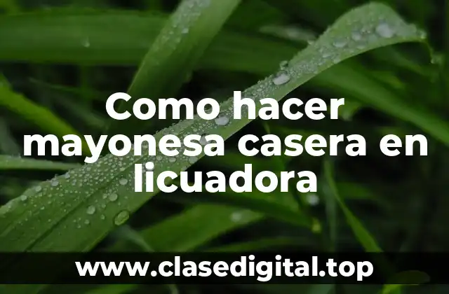 Como hacer mayonesa casera en licuadora