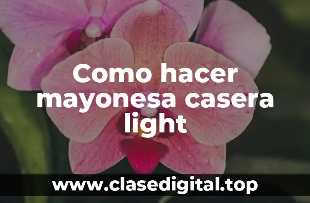 Como hacer mayonesa casera light