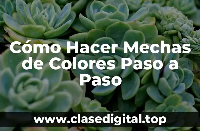Cómo Hacer Mechas de Colores Paso a Paso