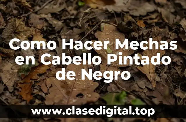 Como Hacer Mechas en Cabello Pintado de Negro