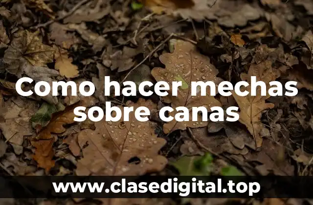 Como hacer mechas sobre canas