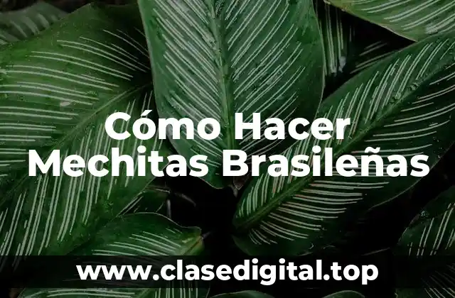 ¿Qué son las Mechitas Brasileñas?