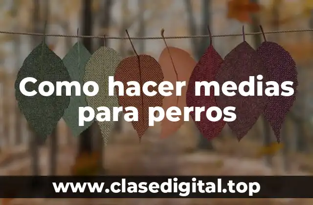 Que son las medias para perros