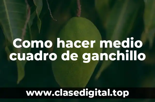 Como hacer medio cuadro de ganchillo