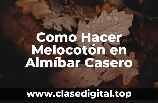 Como Hacer Melocotón en Almíbar Casero
