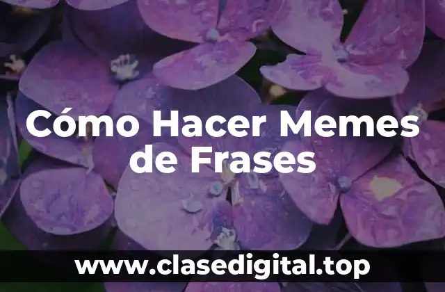 Cómo Hacer Memes de Frases