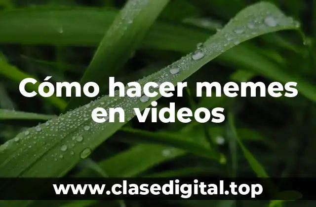 Cómo hacer memes en videos