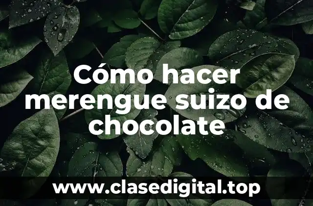 ¿Qué es el merengue suizo de chocolate?