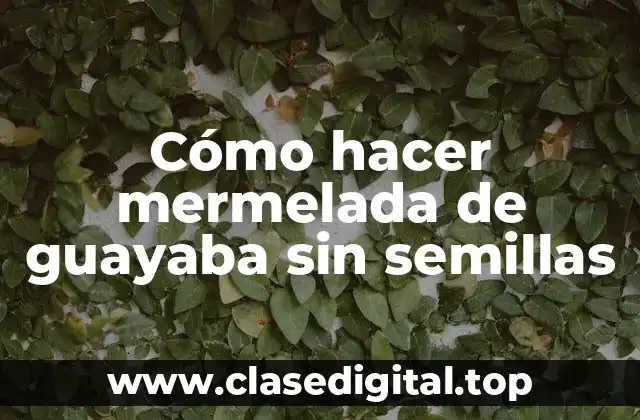 ¿Qué es la mermelada de guayaba sin semillas y para qué sirve?