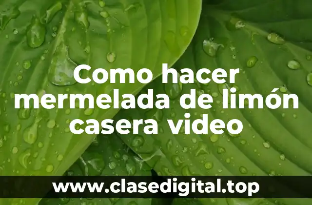 Como hacer mermelada de limón casera video