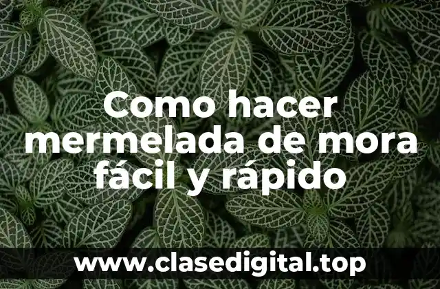 Como hacer mermelada de mora fácil y rápido