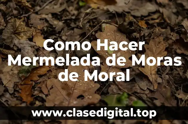 Como Hacer Mermelada de Moras de Moral
