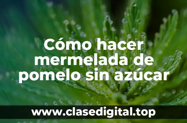 ¿Qué es la mermelada de pomelo sin azúcar y para qué sirve?